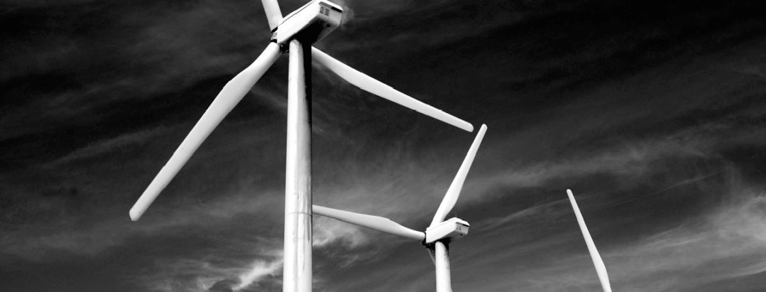 wind farm in black and white