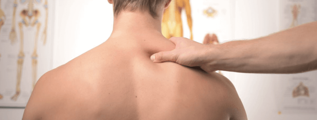 head and shoulder muscles